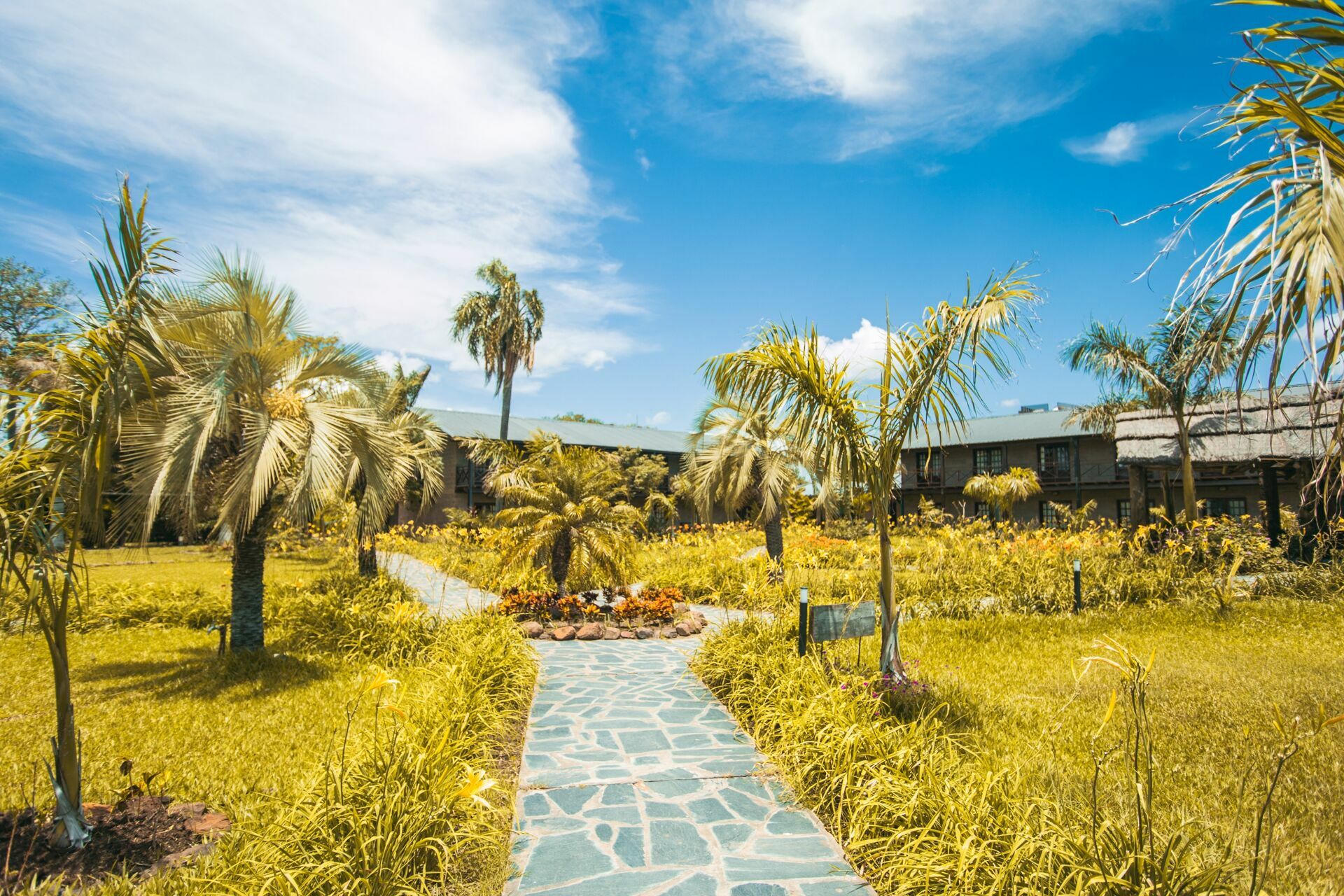 Foto LA REGINA BUSINESS FISHING - Imagem 33