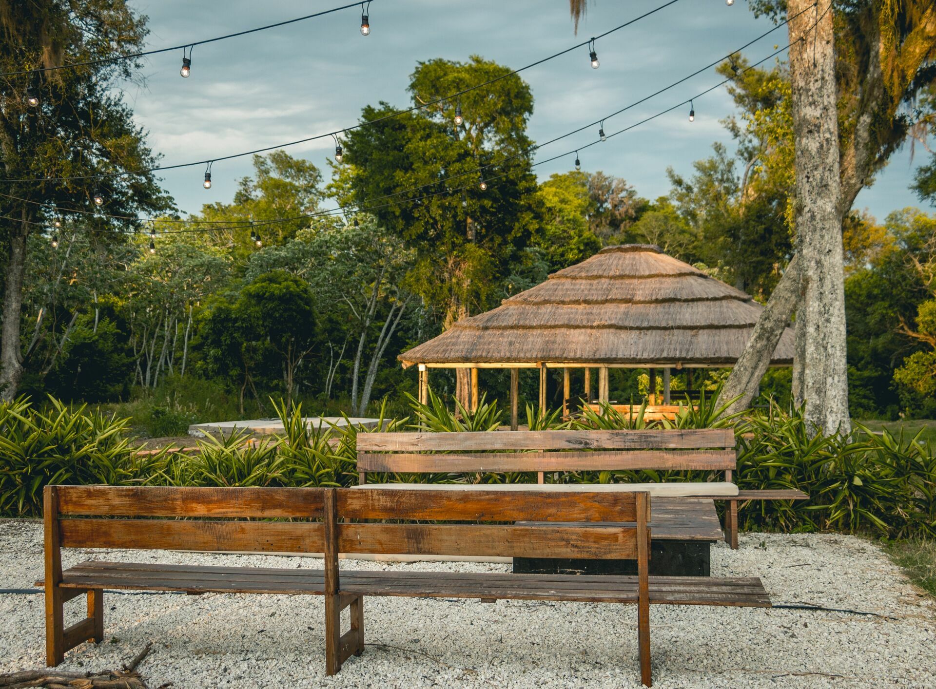 Foto LA REGINA BUSINESS FISHING - Imagem 31